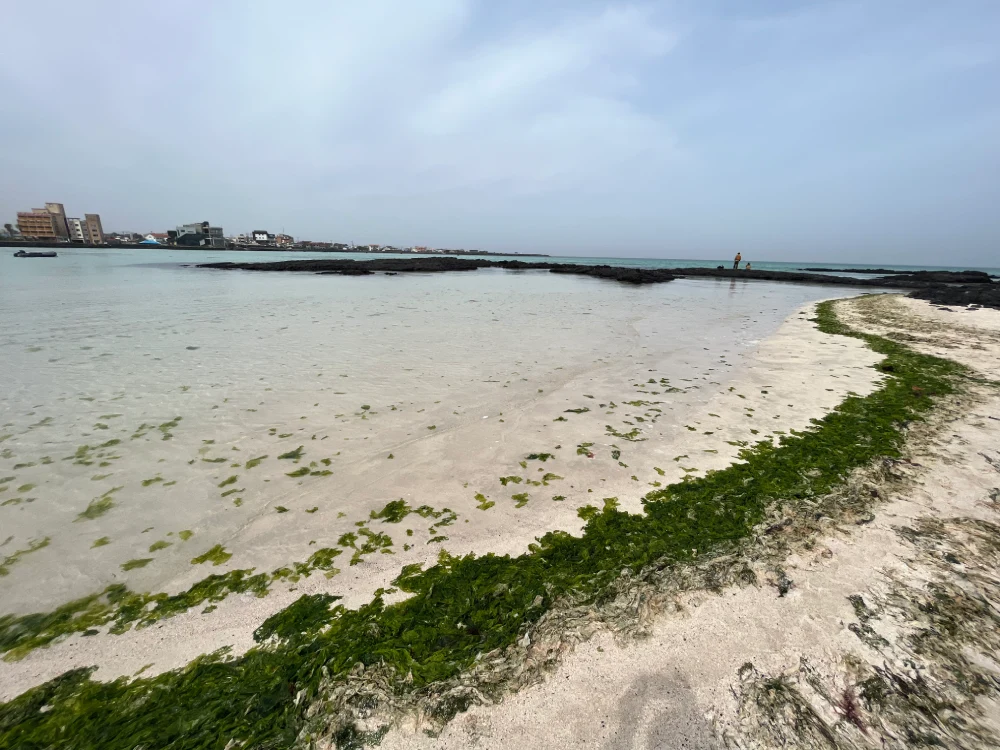 Qué ver y hacer en la mágica Isla de Jeju. Hyeopjae Beach